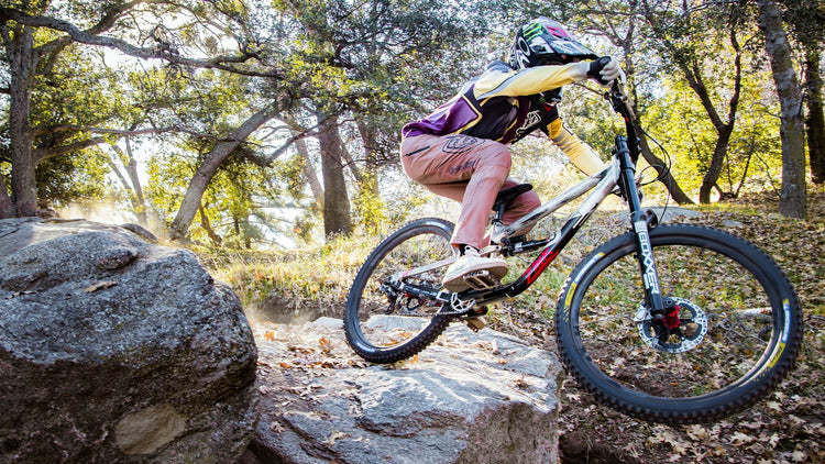 New Arrival Pants and Shorts