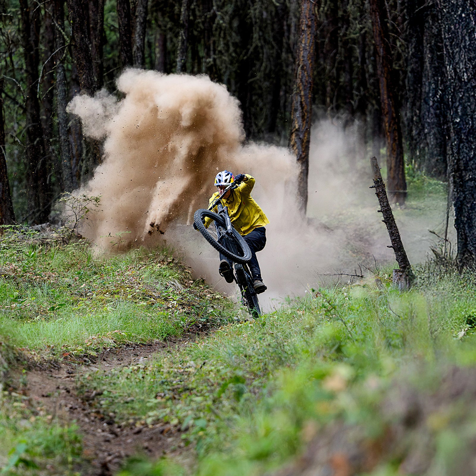 Troy Lee Designs Europe Official - Moto, MTB, Helmets, Gear – Troy